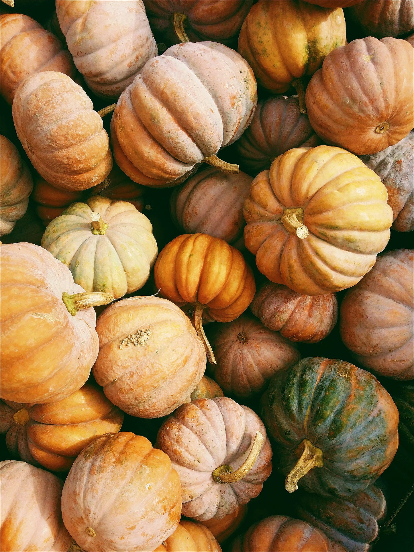 Heirloom Package 2 – $550 Total (Pay $275 Now) *PORCH DROP OFF