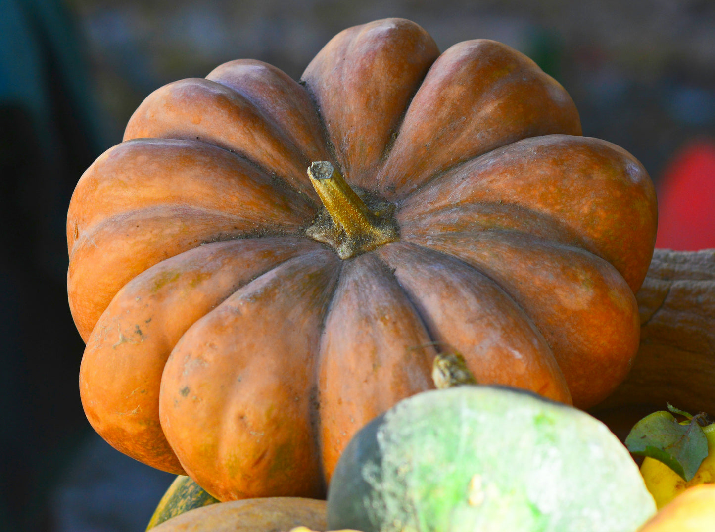 Heirloom Package 1 – $350 Total (Pay $175 Now) *PORCH DROP OFF