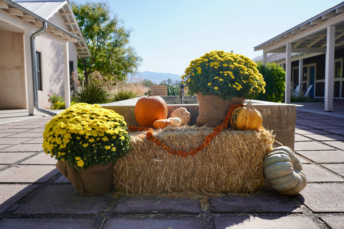 Hay Bale