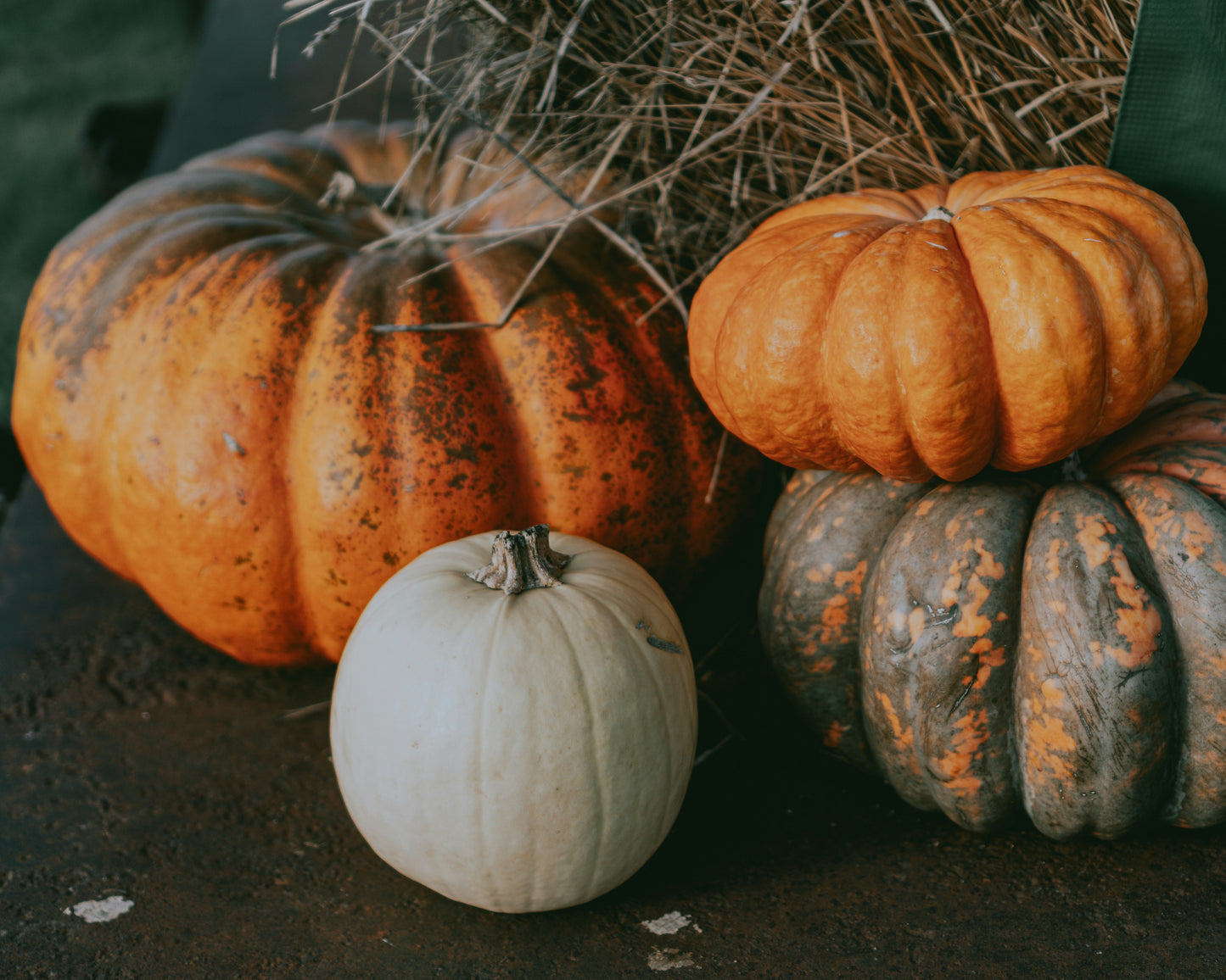 Heirloom Package 2 – $550 Total (Pay $275 Now) *PORCH DROP OFF