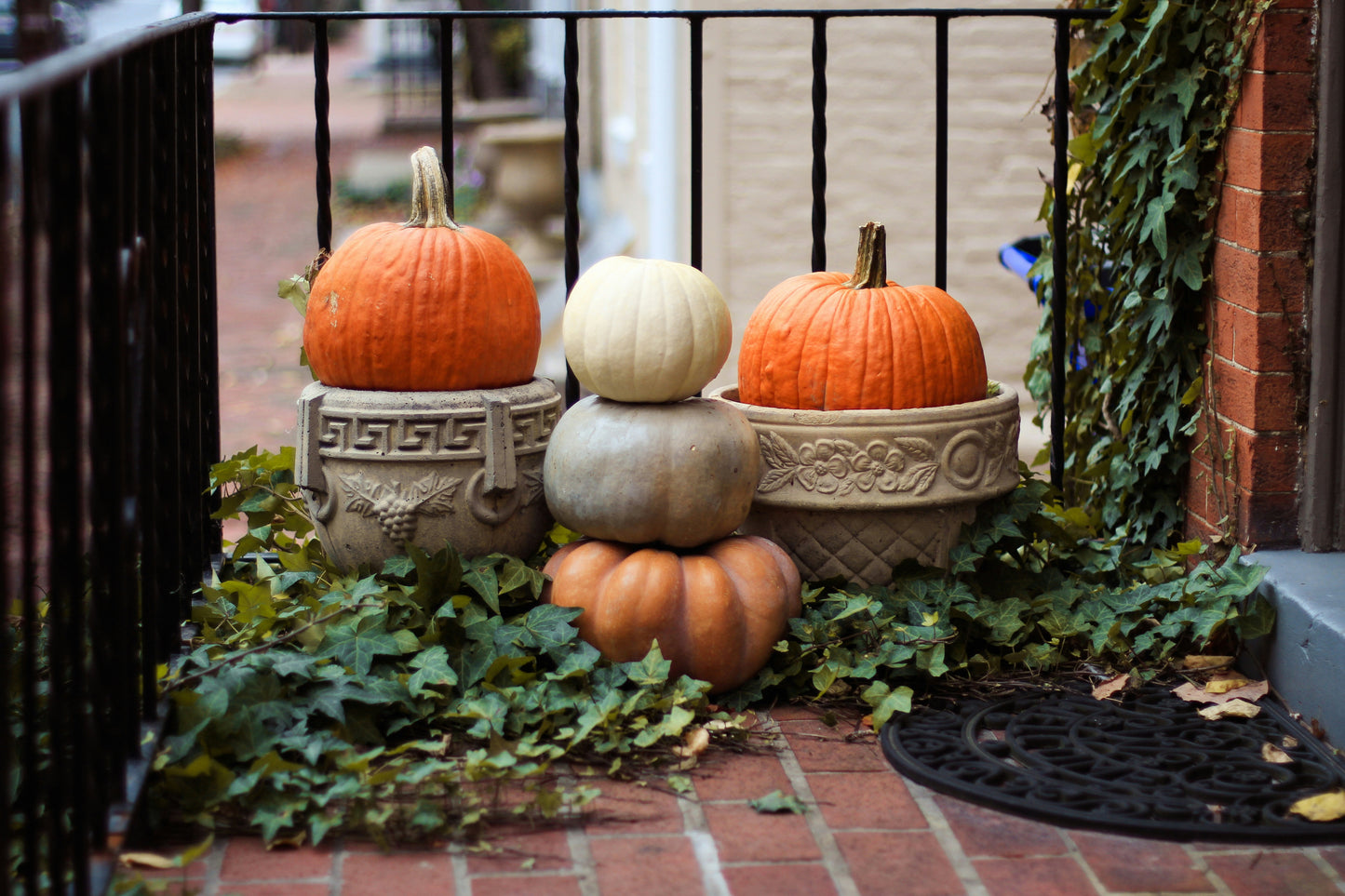 Heirloom Package 2 – $550 Total (Pay $275 Now) *PORCH DROP OFF