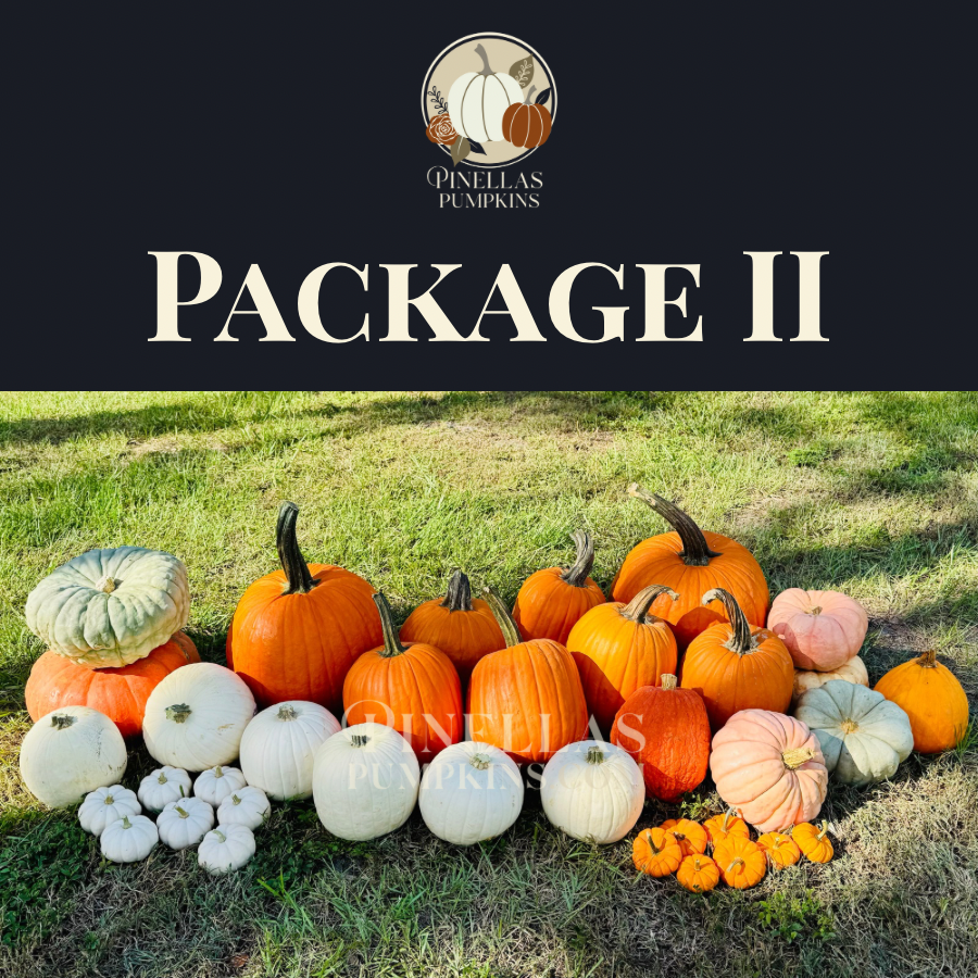 Package II - $450 TOTAL (Pay $225 Now)