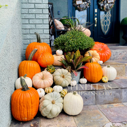 Package III - $700 TOTAL (Pay $350 Now)