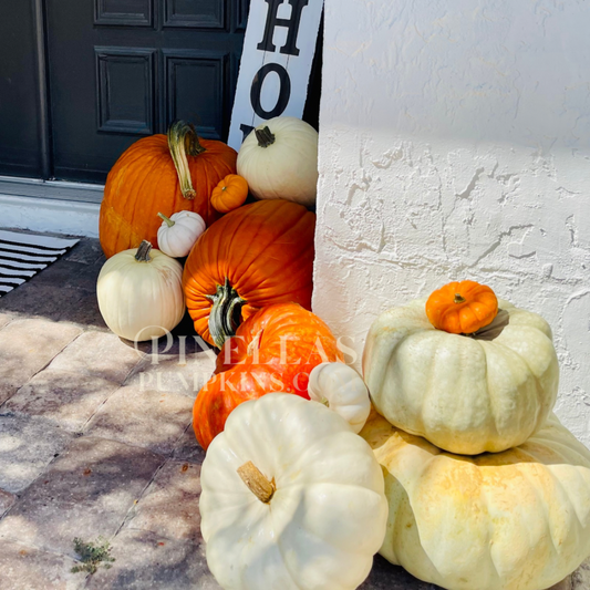 Package I - $250 TOTAL (Pay $125 Now)