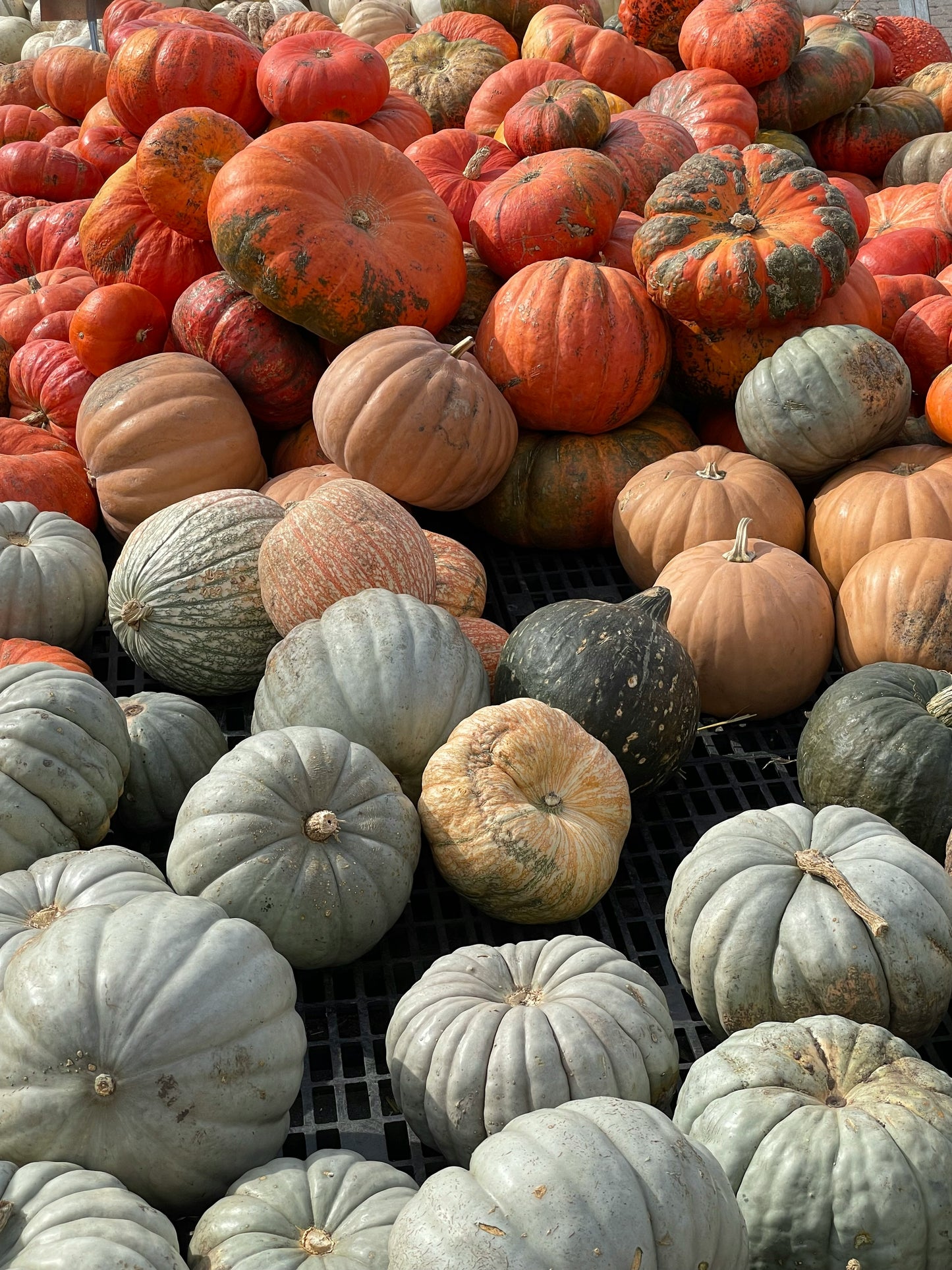 Heirloom Package 4 – $1,350 Total (Pay $675 Now) *DESIGN SERVICE INCLUDED
