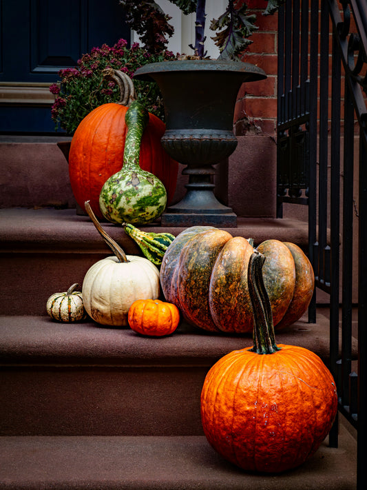 Heirloom Package 3 – $750 Total (Pay $375 Now) *DESIGN SERVICE INCLUDED