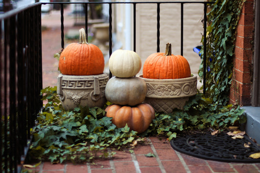 Heirloom Package 1 – $350 Total (Pay $175 Now) *PORCH DROP OFF