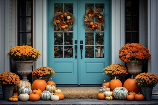 Package 1 – $325 Total (Pay $162.50 Now) *PORCH DROP OFF