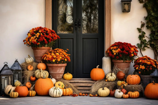 Pumpkin Design Service (PACKAGES 1 + 2)