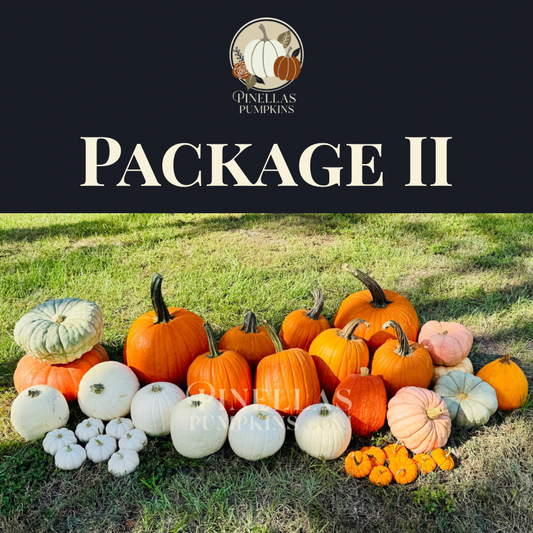 Package II - $450 TOTAL (Pay $225 Now)