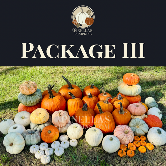 Package III - $700 TOTAL (Pay $350 Now)