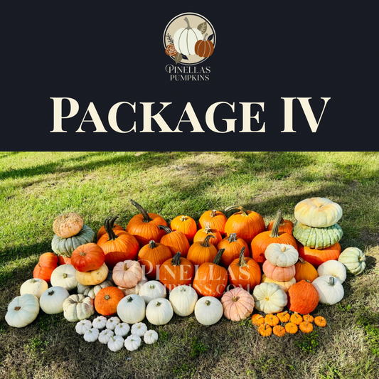 Package IV - $1,350 TOTAL (Pay $675 Now)